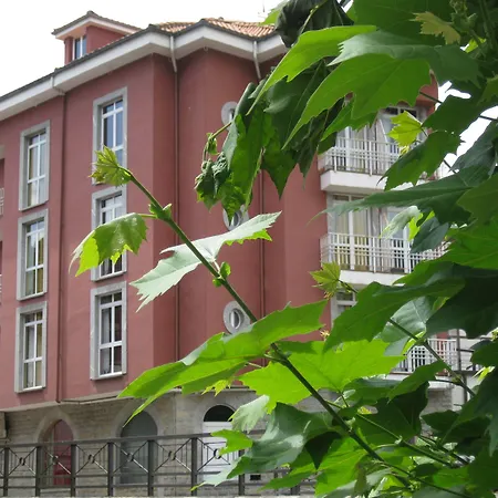 Hotel Acebos Cangas Onís