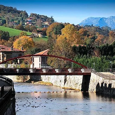 Acebos Cangas