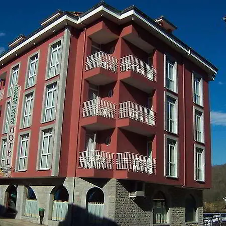 Acebos Cangas Cangas de Onis
