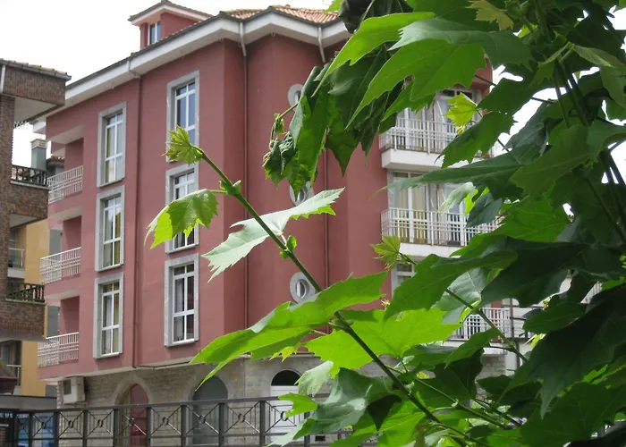 Hotel Acebos Cangas Onís