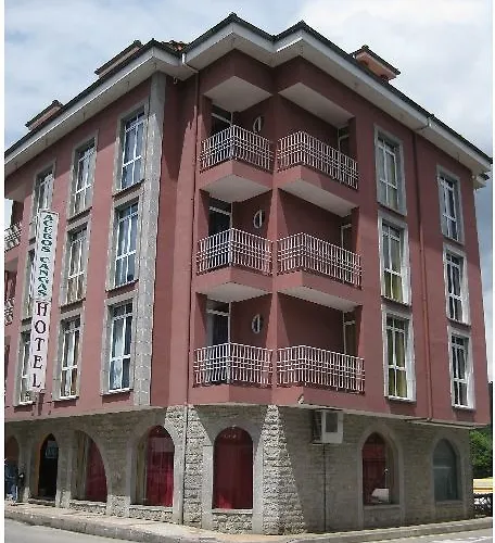 Hotel Acebos Cangas 2*